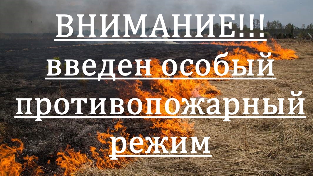 Вводится особый противопожарный режим.
